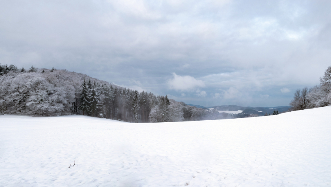 Winterliche Landschaft / Bild: Rhein-Neckar-Kreis